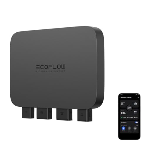 EcoFlow 800W Batterieladegerät, 3-in-1 schnelles DC-DC-Ladegerät für tragbare Powerstation, Autobatteriepflege & Starthilfe, 8 × schnelleres Laden als über Zigarettenanzünder, lädt 1 kWh in 78 Minuten