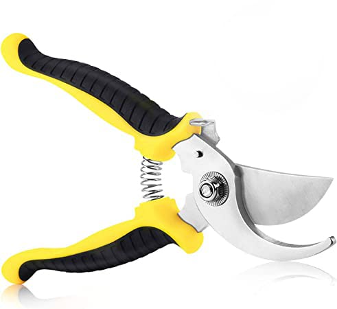 SD Enriching Beauty Heavy Duty Plant Cutter For Home Garden Scissors, Branch Cutter For Tree, Pruner Cutter Heavy Duty, Garden Tools For Home Gardening Scissors, Prunning Branch Cutter For Garden (B09B7TGZD4) Amazon Price History, Amazon Price Tracker