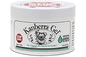 Kanberra Gel: The All-Natural Air Purifier