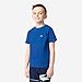 Lacoste Jersey T-Shirt Royal Blue