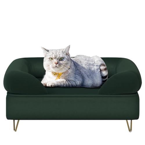 Yoonnie room Dog Couch