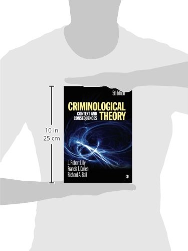 Criminological Theory: Context and Consequences - Image 2