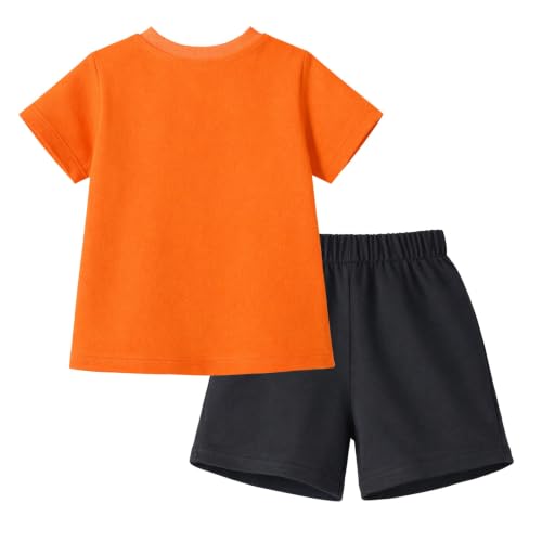 Image of HILEELANG Toddler Boy Summer Outfit Set 2 Piece Short Sleeve T Shirt and Short Soft Breathable Cotton Clothing Sets 2-7T