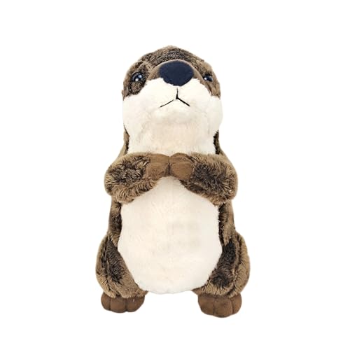 킢JE\̂ʂ - 20cm Aȏ_炩̃tBMAAF̂ʂ |LbYqpQRpjIfR[VA莝쐶RtH[gh[A炵ۈ牀MtgA