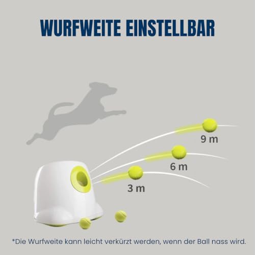 BOT Automatischer Ballwerfer für Hunde, inkl. 3Stk Hundebälle. Interaktives Hundespielzeug für Zuhause und Draußen (Ifetch Maxi 6.4cm)