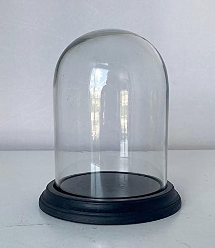 Campana de cristal, campana de cristal, cascabel, campana de cristal, cascabel de reloj H 15,5 Cover