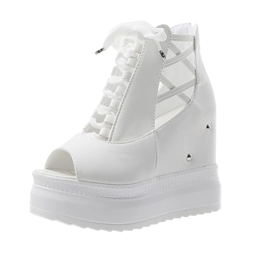 [`GOC] u[cT_ fB[X I[vgD u[T  EGbW\[ obNWbp[ ₷ nCq[ C ₷ T}[u[c JWA ʊw ʋ   12cmq[ ubN   ҂ݏグ 23.5 cm