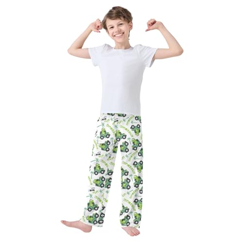 ZZXXB Dinosaur Has Fun Boys Long Pants Soft Trousers Elastic Waist Kids Lounge Bottoms with Pockets S-XL2