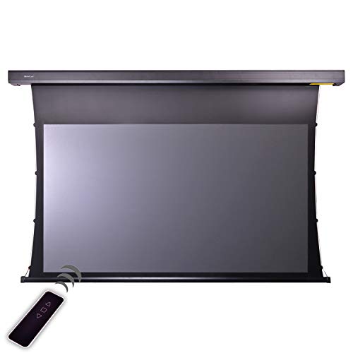 HiViLux® Tension CLR/ALR Motor Leinwand Dualspann System für UST-Beamer/Laser TV: HiViPrism Cinema HDR Hochkontrast/8K/4K/3D (92Zoll 16:9 Bild:203x114cm Schwarz)