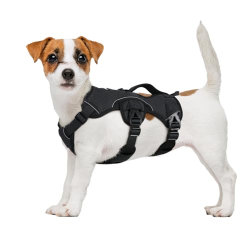 Best Harness for Deep Chest Dogs Choosing the Right Fit for Your Furry