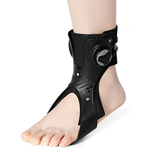 T|[gu[X  ؖ ALXF ̉ E Ж ] C EH[LOp A/E Xl AB/ Xl