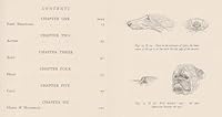 The drawing & painting of dogs, (The new art library) B00087WJXG Book Cover