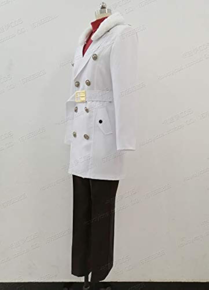 Amazon.co.jp: 魔法使いの約束 西の国 ラスティカ コスプレ衣装
