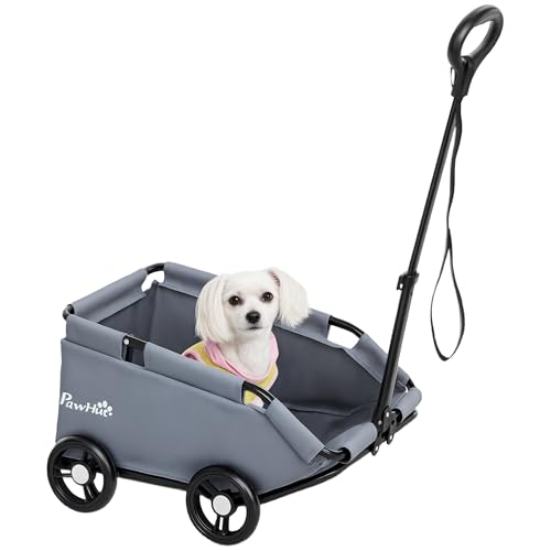 Poussette chien PawHut pour promener un chiot fatigué ou animal âgé
