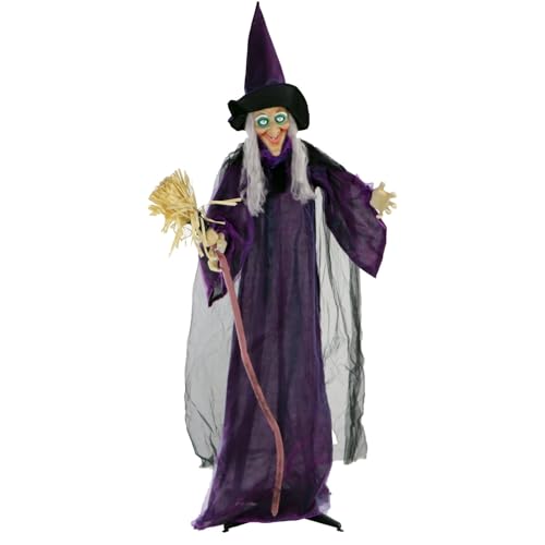 Where did the witches broom come from