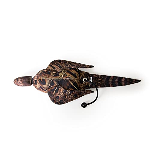 The Original Clone Realistische Spiel Vogel Hund Training Schnuller - Canvas Schnuller mit HD Federdruck für Gundog & Welpentraining - Gundog Trainingsgeräte (Hen Fasan Dead Bird Dummy)