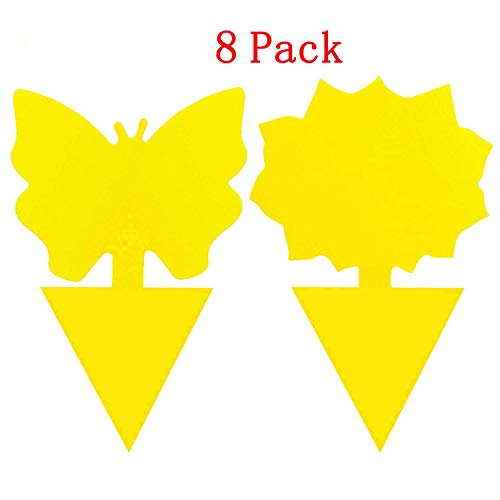 MP Essentials - Silla de director deportivo, de viaje, fuerte y resistente con bolsillos y mesa, MP/CHAIR, azul