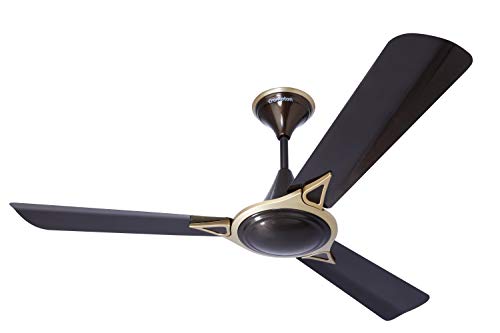 Crompton Avancer Prime 900mm (36 inch) Decorative Ceiling Fan with Anti Dust Technology (Baker Brown)