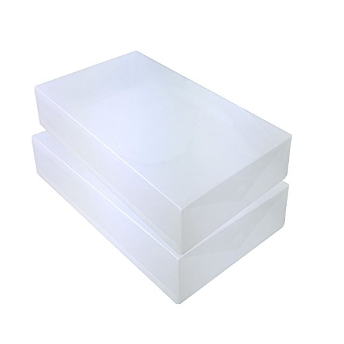 DynaSun 2X PP384 Schuhbox Schuhkasten Lagerkasten Box Schuhschachtel für Aufbewahrung Stiefel...