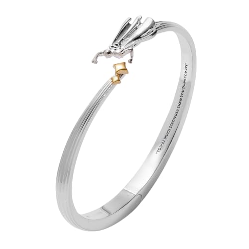 Alex and Ani SUPERMAN™ Jewelry