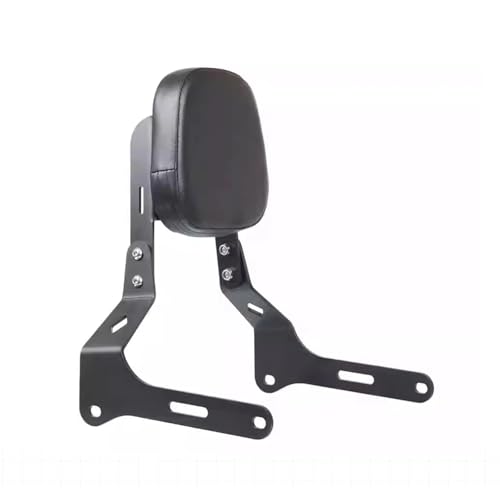 Barres d'appui moto avec coussin ergonomique et accoudoir Eliminator 500