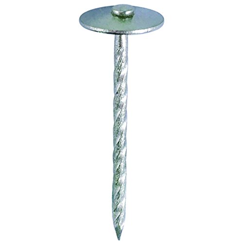 _Ch[ng XeXPB XN- #13X41 1KG 00028011