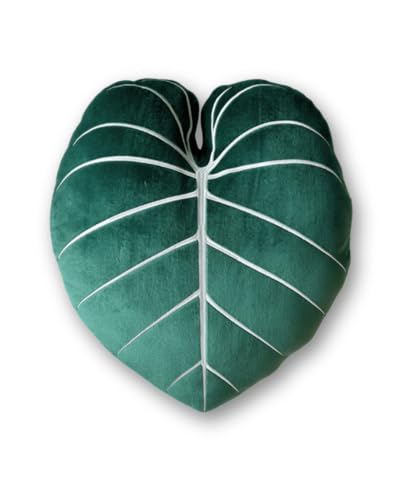 Green Philosophy Co. - Philodendron Gloriosum Leaf...