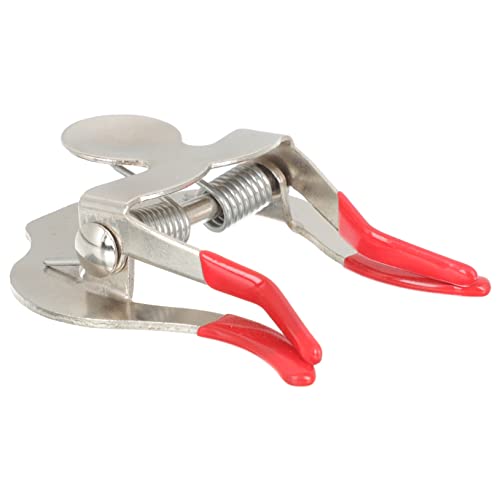 Vaguelly p~[g yp[c ϋvŉʒ߉\ vpnՃTCT[ Kp}ANZT[