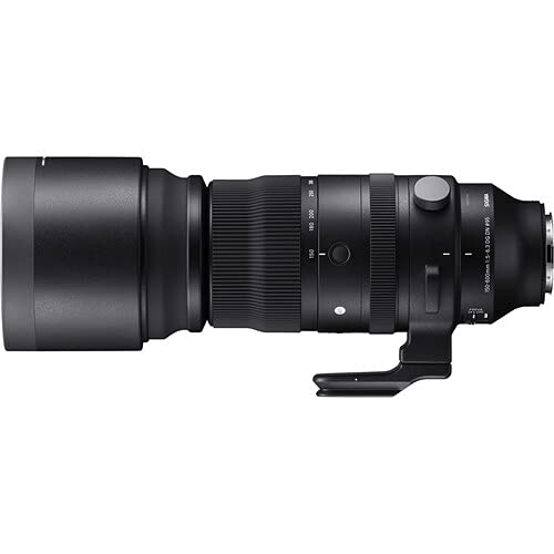 Amazon.com : Sigma 150-600mm f5-6.3 DG DN OS Sports Lens for Sony