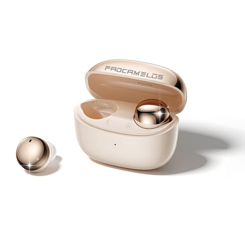 Aesthetic 2-in-1 Earbuds