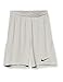 Nike DF Park III Shorts Pewter Grey/Black L