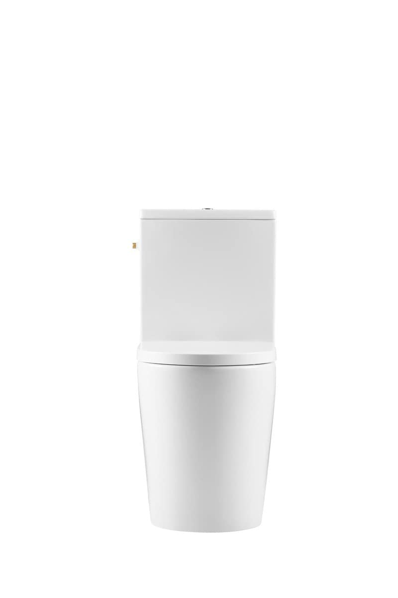 Swiss Aqua Technologies WC da tavolo | Sedile SoftClose | Massima igiene e resistenza agli urti | SATBRE031RREXVP