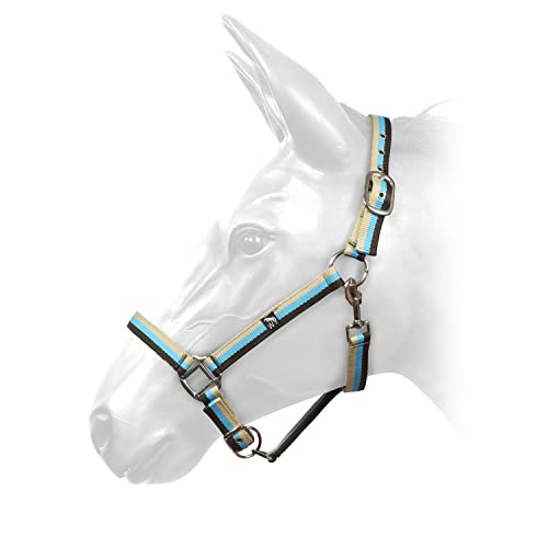W-Horse Harvey Striped Horse Headcollar (Pony) (Brown/Turquoise/Beige)