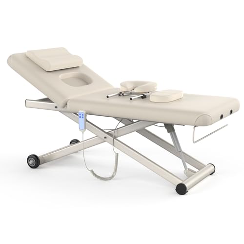 Image of Dolonm Electric Massage Table, Heavy Duty Electric Lift and Backrest 2 Motor Adjustable for Treatment /Medical Spa /Facial Bed /Beauty Bed /Massage and More - 31.2 Wide x 75 Long, Beige Gray