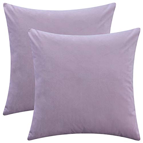 Rythome Set of 2 Soft Velvet Throw Pillow Covers, Decorative Solid Cushion Cases for...