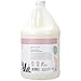 Ginger Lily Farms Botanicals Moisturizing Shampoo for All Hair Types, 100% Vegan & Cruelty-Free, Whispering Rose Scent, 1 Gallon (Pack of 4)