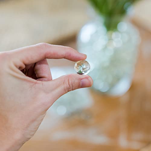 Galashield Clear Marbles for Vases | Glass Marbles Bulk Vase Fillers | Glass Beads for Vases, Round Marble 1lb, (Approx. 80 pcs)