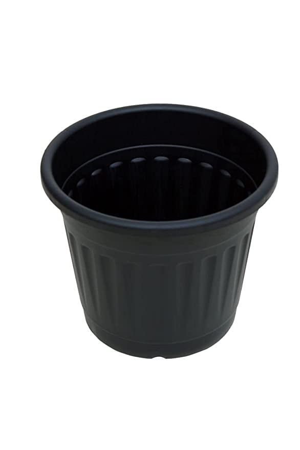 Tillage-10inch Black Nursery Garden Plastic Pot/Grower Pot for Terrace Gardening and Outdoor. (Pack of 6) (B0B138BYSM) Amazon Price History, Amazon Price Tracker