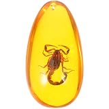 Gatuida