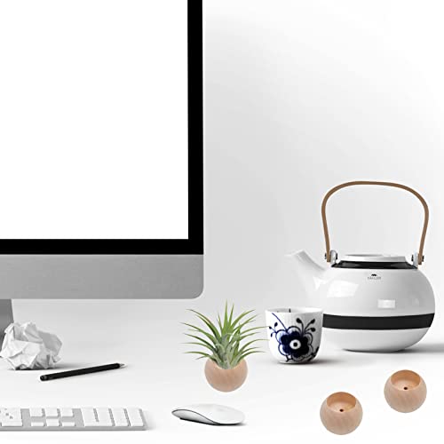 Nwsrayu 3 Pcs Wood Air Plant Holder Air Plant Pots Air Plants Display Containers Table Centerpiece Succulent Plants Pot For Home Office Tabletop Decor #TOP4