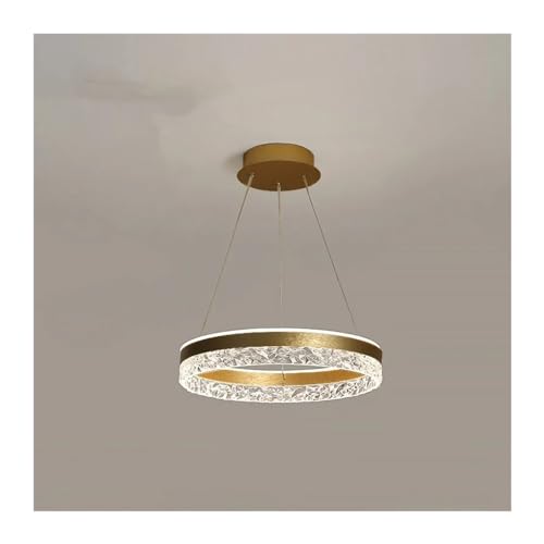 Lampe Suspendue Circulaire LED Dimmable pour Sublimer Votre Salon - 3