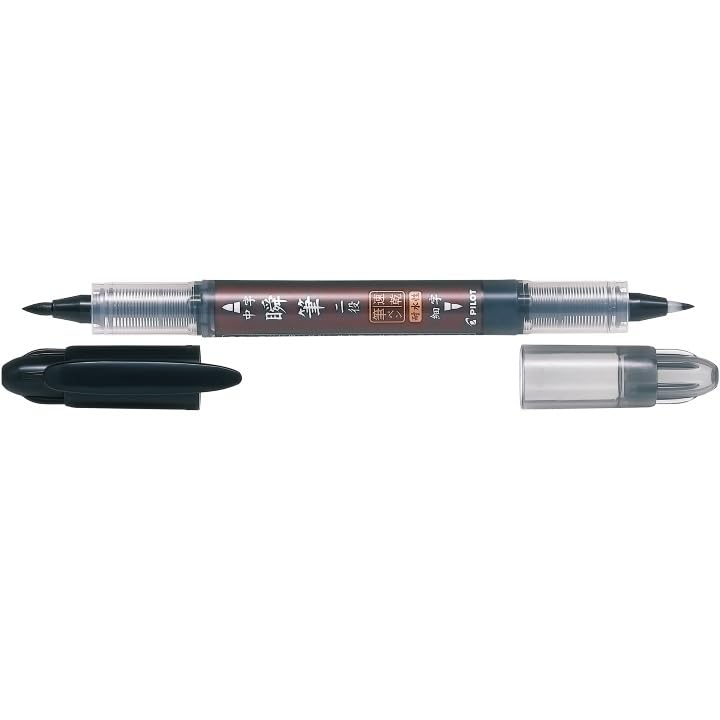 PILOT P-SVSGW-35KS-B Brush Pen, Twin Type, Medium and Fine Point, 3 Pieces : Office Products