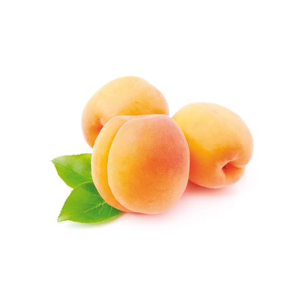 ProNutrition CROSTATINA KETO da 50g Ripiena ai ALBICOCCA - Dolcetto per una dieta keto, con solo 4,5 grammi di carboidrati e 0,18 gr di zuccheri a porzione (Box da 10 pezzi da 50g)