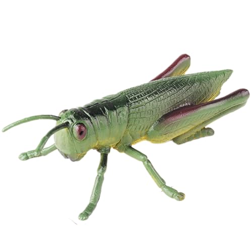 AENIMELY Saltamontes Realista de Gran Tamaño - Figura Hueca de Insecto Educativo - Juguete Infantil para Aprendizaje Stem, Estudio de Naturaleza y Decoración de Aula o Proyecto Escolar