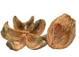 Gitachi Coconut Husk 1/2 Kg for Orchids and hydroponics-image-37