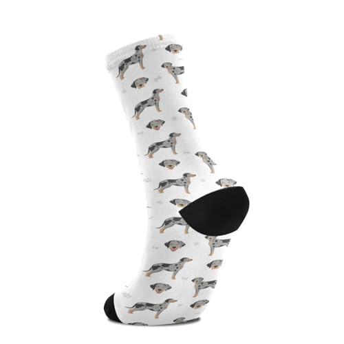 Wusikd Catahoula Leopard Socks for Women and Men Dog Long Socks for Athletic Running 14