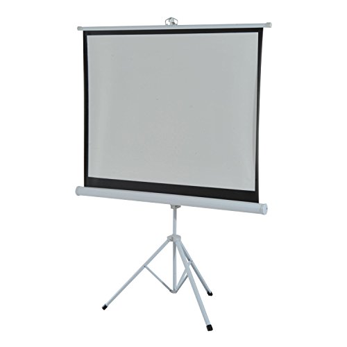HOMCOM Ecrã dobrável manual de 120 polegadas, ecrã de projeção, formato 4:3 com altura ajustável, cinema em casa, apresentações, filmes 244 x 183 cm, branco
