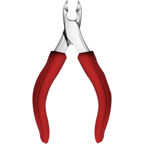 ̒ܐ؂-Nzĵ߂̏vȐ̌̒ܐ؂ANz/j/̂߂̑傫̒ܐ؂AnhtĂSŁAv (bh)