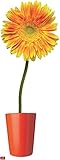 Für Fans und Sammler 1art1 Blumen Orange Gerbera Mit Blumentopf Wand-Tattoo  Deko Wandaufkleber für Wohnzimmer Kinderzimmer Küche Bad Flur  Wandsticker für Tür Wand Möbel/Schrank 200x65 cm