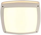 Naeve Leuchten LED Wand und Deckenleuchte, 20W, inklusive 240 LED 1152926